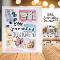 Bible Journaling Journey Cover